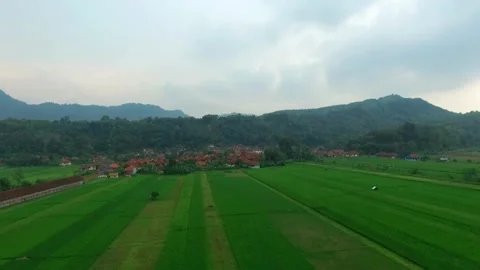 Aerial View - Rice Fields And Mountains in a Beautiful Village, in Indonesia. Stock Footage 242306071