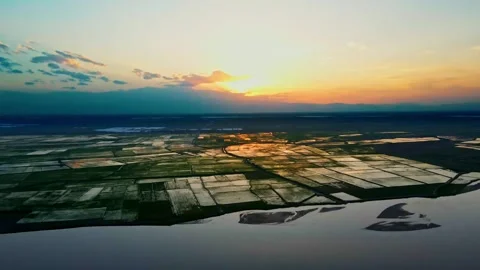 Aerial view of rice fields and rivers under the setting sun Vídeo Stock 293938909