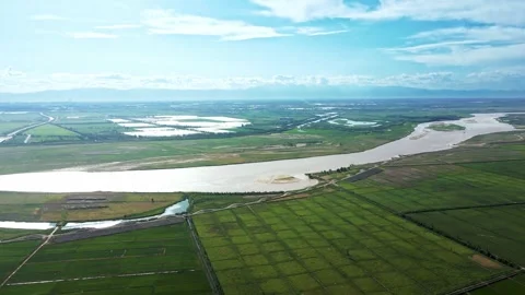 Aerial view of rice fields and rivers in spring Stock Footage 295421388
