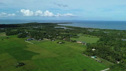 Aerial View of Rice Fields and Tropical Farmland with Ocean in Background 動画素材 329290382