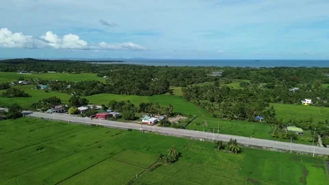 Aerial View of Rice Fields and Tropical Farmland with Ocean in Background Stock Footage 329290532