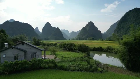 Aerial View of Rice Fields and Karst Mountains in Cao Bang, Vietnam Stock Footage 334620323