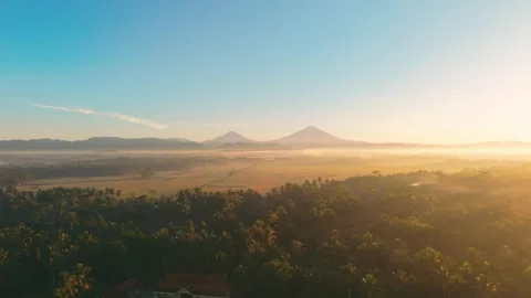 Aerial view of rice fields and mountains at sunrise, Indonesia. Stock Footage 340215874
