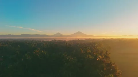 Aerial view of rice fields and mountains at sunrise, Indonesia. Stock Footage 340216141