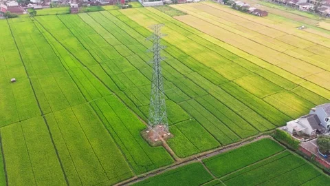Aerial View of Rice Fields and High Voltage Transmission Tower in Indonesia Stock Footage 342252288