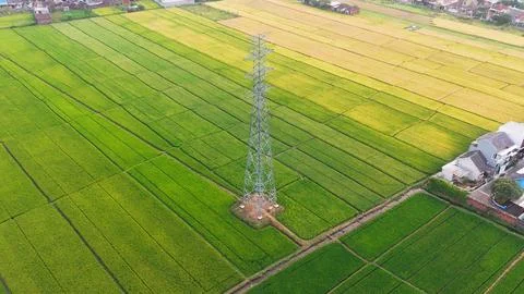Aerial View of Rice Fields and High Voltage Transmission Tower in Indonesia Stock Photos