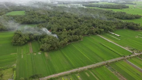 Aerial View of rice fields in the area of ​​Mount Merapi,Yogyakarta Stock Footage 235648047