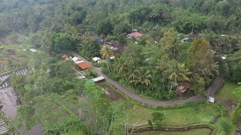Aerial View of rice fields in the area of ​​Mount Merapi,Yogyakarta Stock Footage 235761790