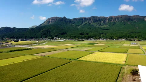 Aerial View of the Rice Fields in Aso Vídeo Stock 332948785