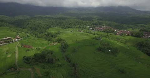 Aerial view of Rice Fields. BALI. 스톡 동영상 72119068
