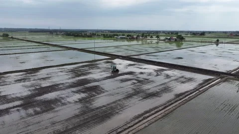 Aerial view of rice fields during planting with agricultural machine Stock Footage 328411952