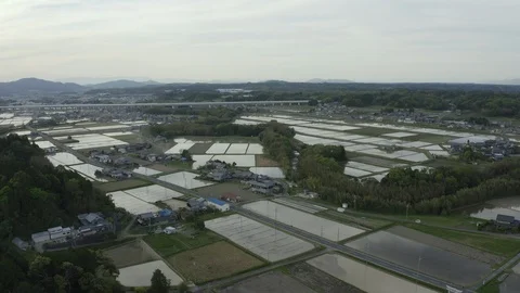 Aerial view rice fields Stock Footage 110699833