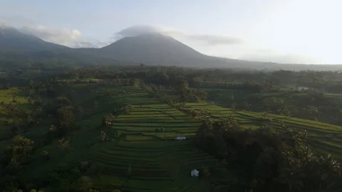Aerial view of rice fields with lenticular cloud at sunrise in Bali, Indonesia Stockbeeldmateriaal 277255013