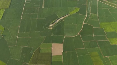 Aerial view of rice fields near Lak Lake, Vietnam. Stock Footage 340001730