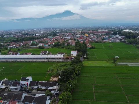 Aerial view of rice fields on the outskirts of Purwokerto City Stock Photos