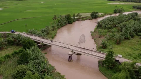 Aerial view of rice fields, palm trees, and river bridge, Indonesia. Stock Footage 279742509
