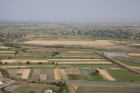 Aerial view of rice fields Foto stock