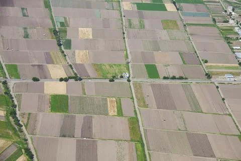 Aerial view of rice fields Stock Photos