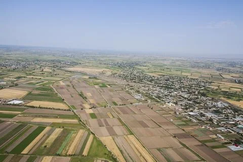 Aerial view of rice fields Stock Photos