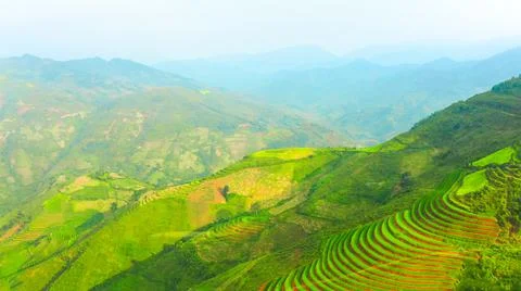 Aerial view of rice fields planted in steps Stock Photos