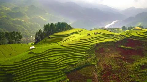 Aerial view of rice fields planted in steps Foto stock