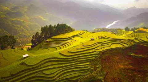 Aerial view of rice fields planted in steps Stock Photos
