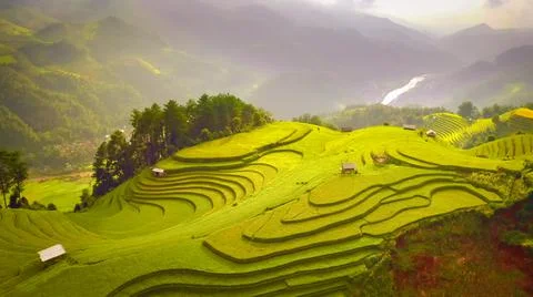 Aerial view of rice fields planted in steps Stock-Fotos