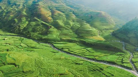 Aerial view of rice fields planted in steps Stock-Fotos