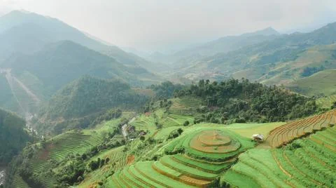 Aerial view of rice fields planted in steps Stock Photos