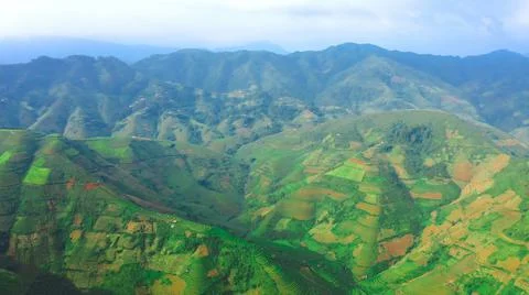 Aerial view of rice fields planted in steps Stock Photos
