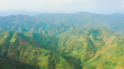Aerial view of rice fields planted in steps Stock Photos
