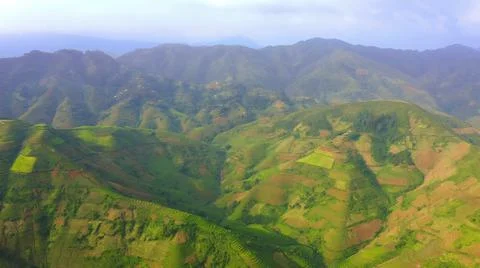 Aerial view of rice fields planted in steps Stock Photos