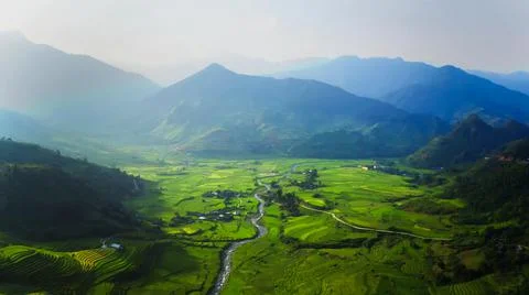 Aerial view of rice fields planted in steps Stock Photos