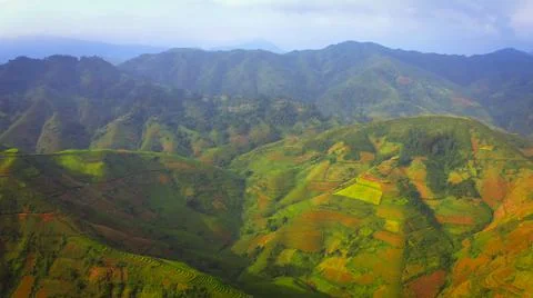 Aerial view of rice fields planted in steps Stock Photos