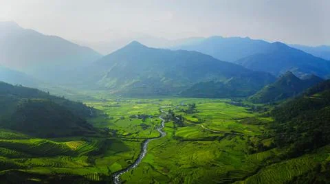 Aerial view of rice fields planted in steps Foto stock