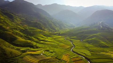Aerial view of rice fields planted in steps Stock Photos
