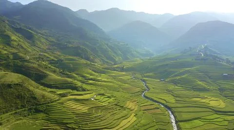 Aerial view of rice fields planted in steps Stock Photos