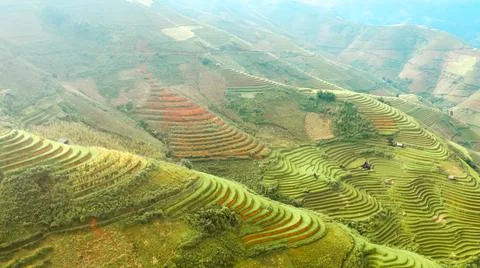 Aerial view of rice fields planted in steps Foto stock