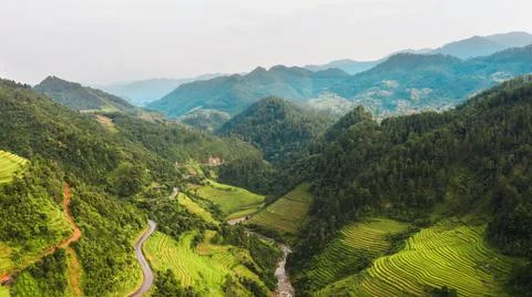 Aerial view of rice fields planted in steps Stock Photos
