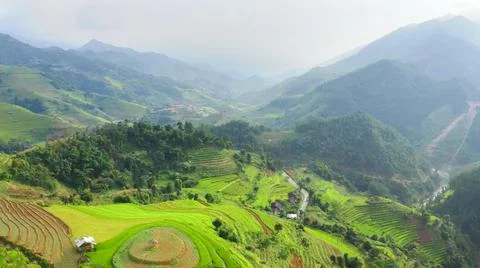 Aerial view of rice fields planted in steps Stock Photos