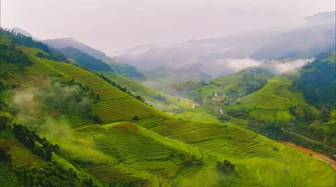 Aerial view of rice fields planted in steps Stock Photos