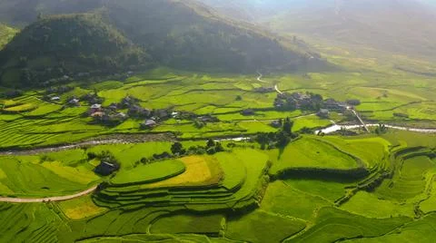 Aerial view of rice fields planted in steps Foto stock