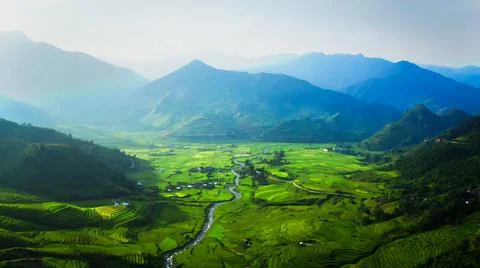 Aerial view of rice fields planted in steps Foto stock