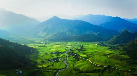 Aerial view of rice fields planted in steps Stock Photos
