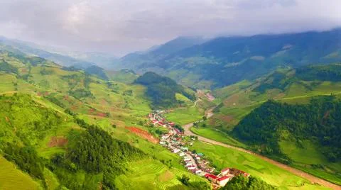 Aerial view of rice fields planted in steps Stock Photos
