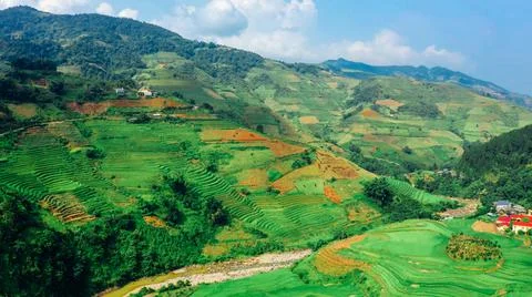 Aerial view of rice fields planted in steps Stock Photos