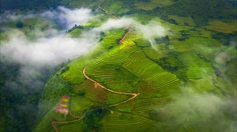 Aerial view of rice fields planted in steps Stock Photos