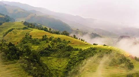 Aerial view of rice fields planted in steps Stock-Fotos