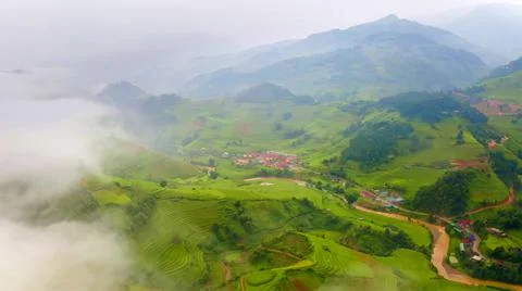 Aerial view of rice fields planted in steps Stock Photos