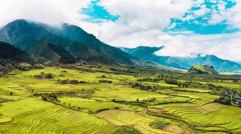 Aerial view of rice fields planted in steps Stock Photos